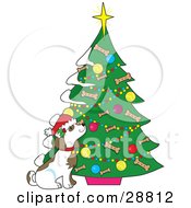 Royalty-free (RF) Clip Art Collections: Christmas