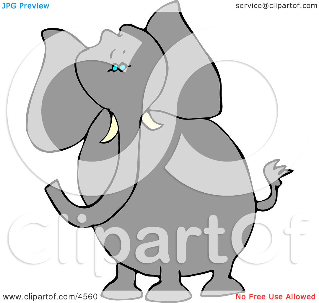 elephant tusk clipart - photo #10