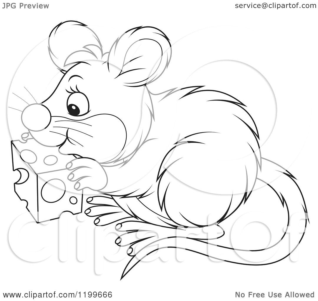 clipart mouse eating cheese - photo #43