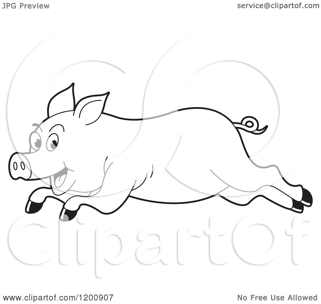 Cartoon of a Black and White Outlined Running Pig - Royalty Free Vector