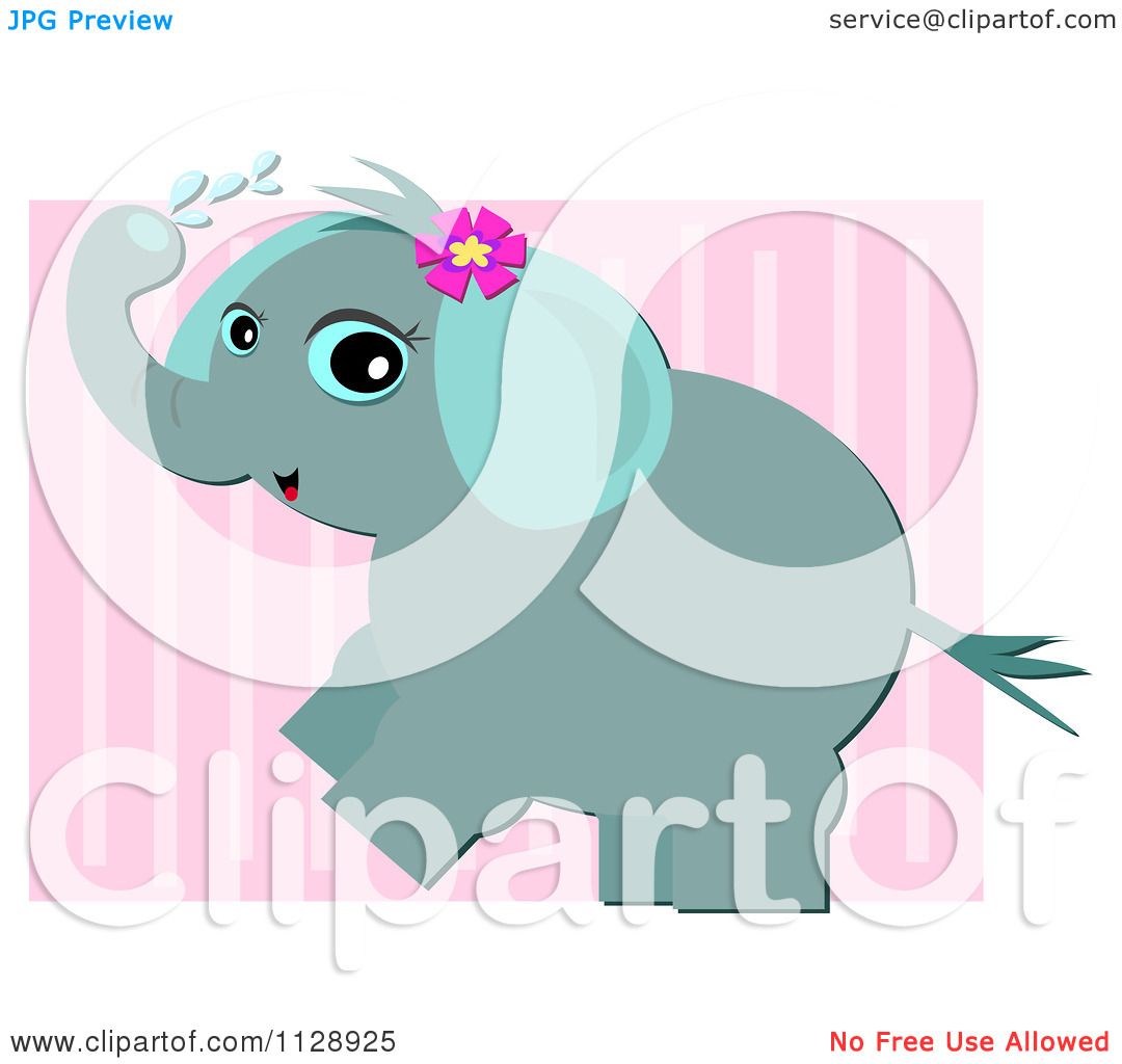 cute elephant