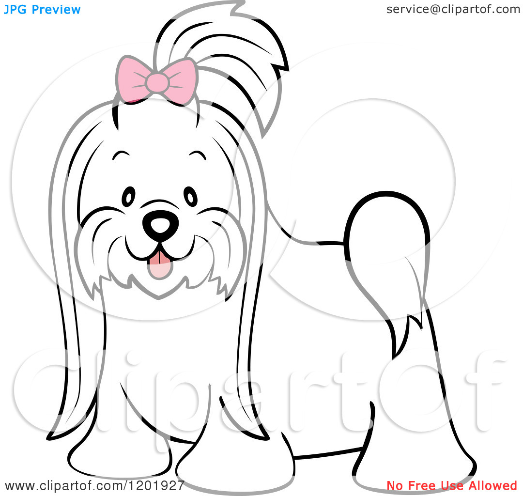 maltese dog clipart - photo #43