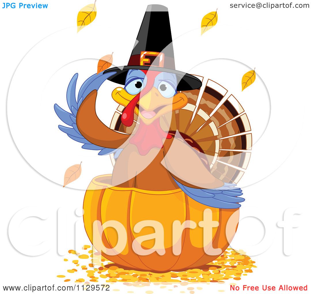 Cartoon Of A Cute Thanksgiving Turkey Bird Pilgrim In A ...
