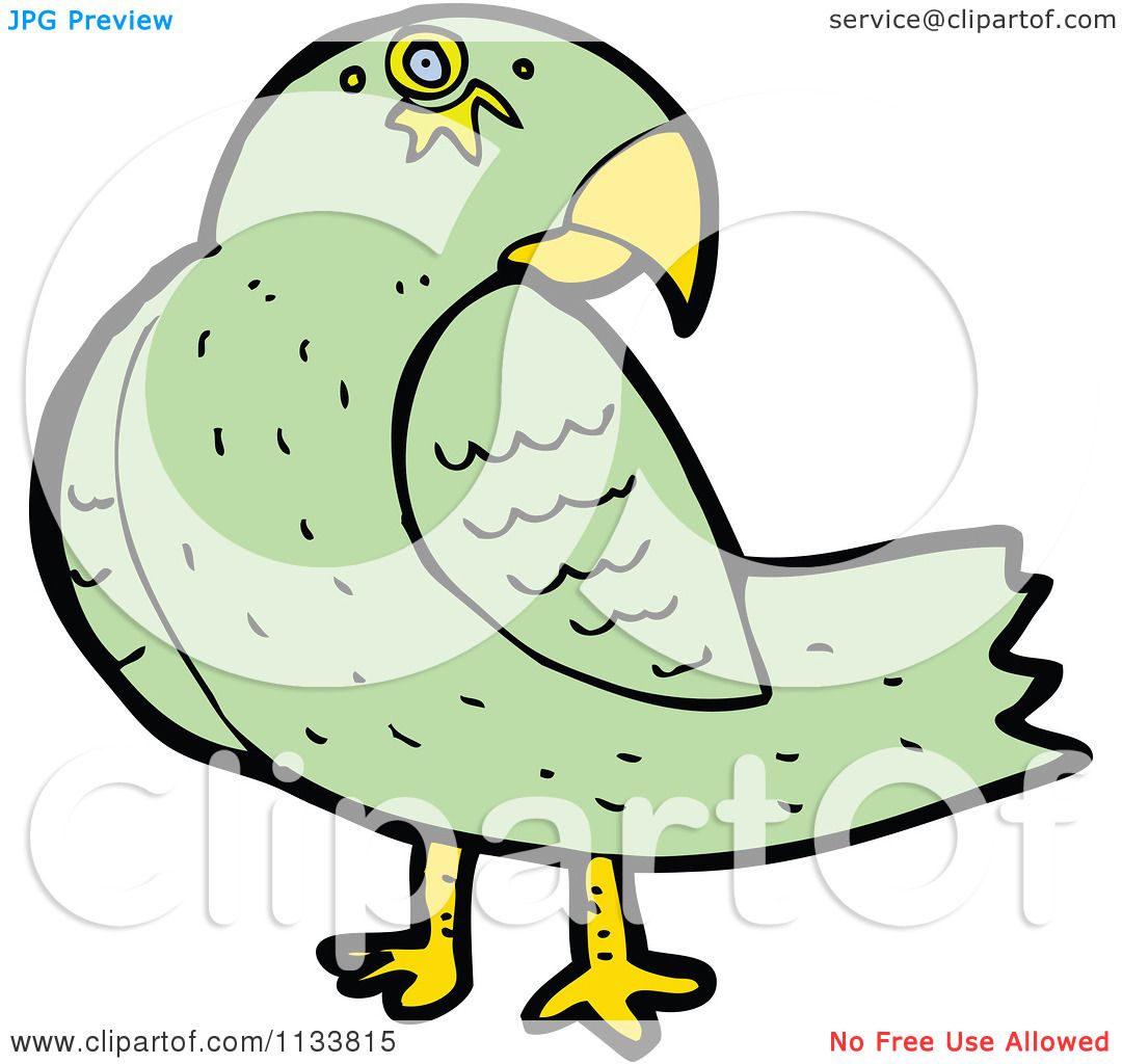green parrot clipart - photo #45