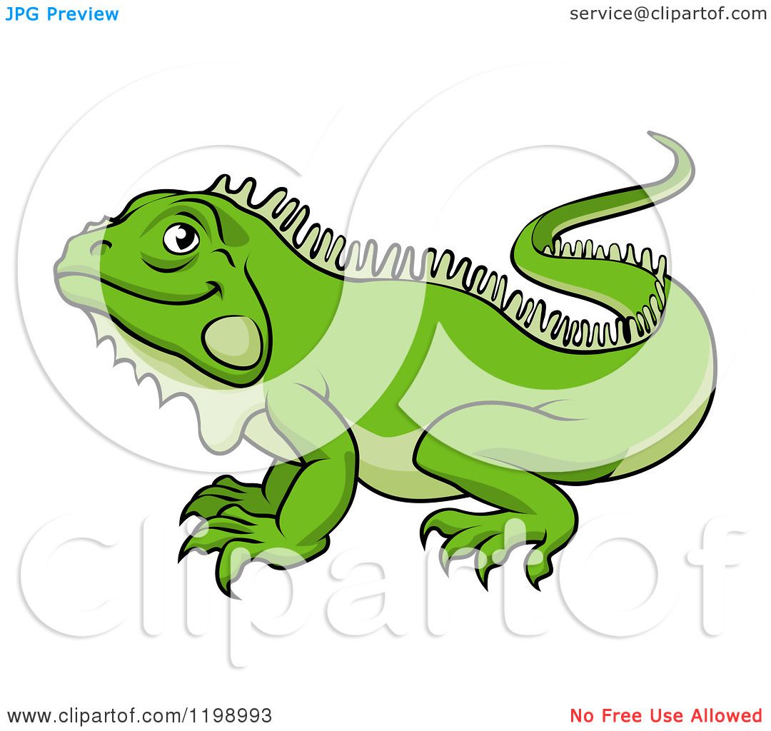 iguana cartoon