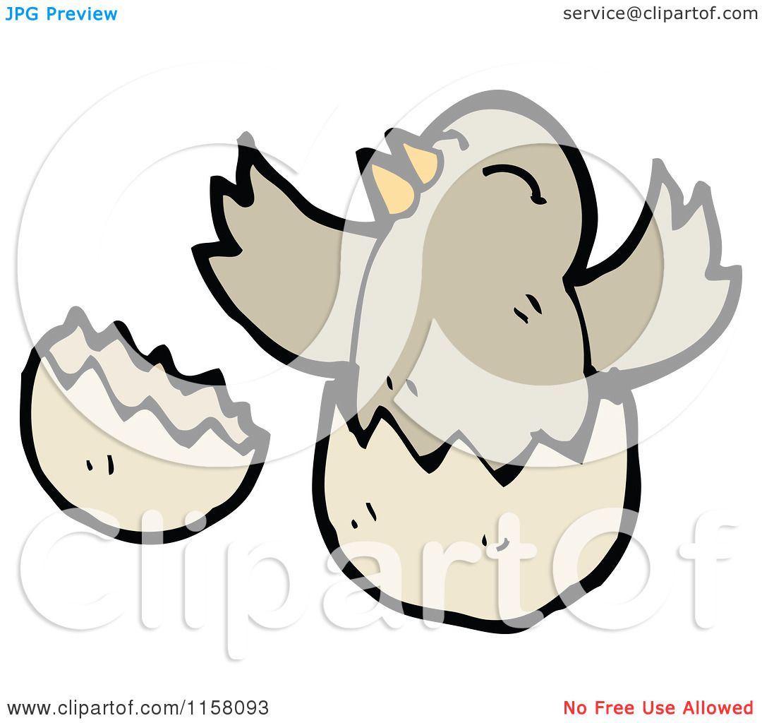 chick hatching clipart - photo #34