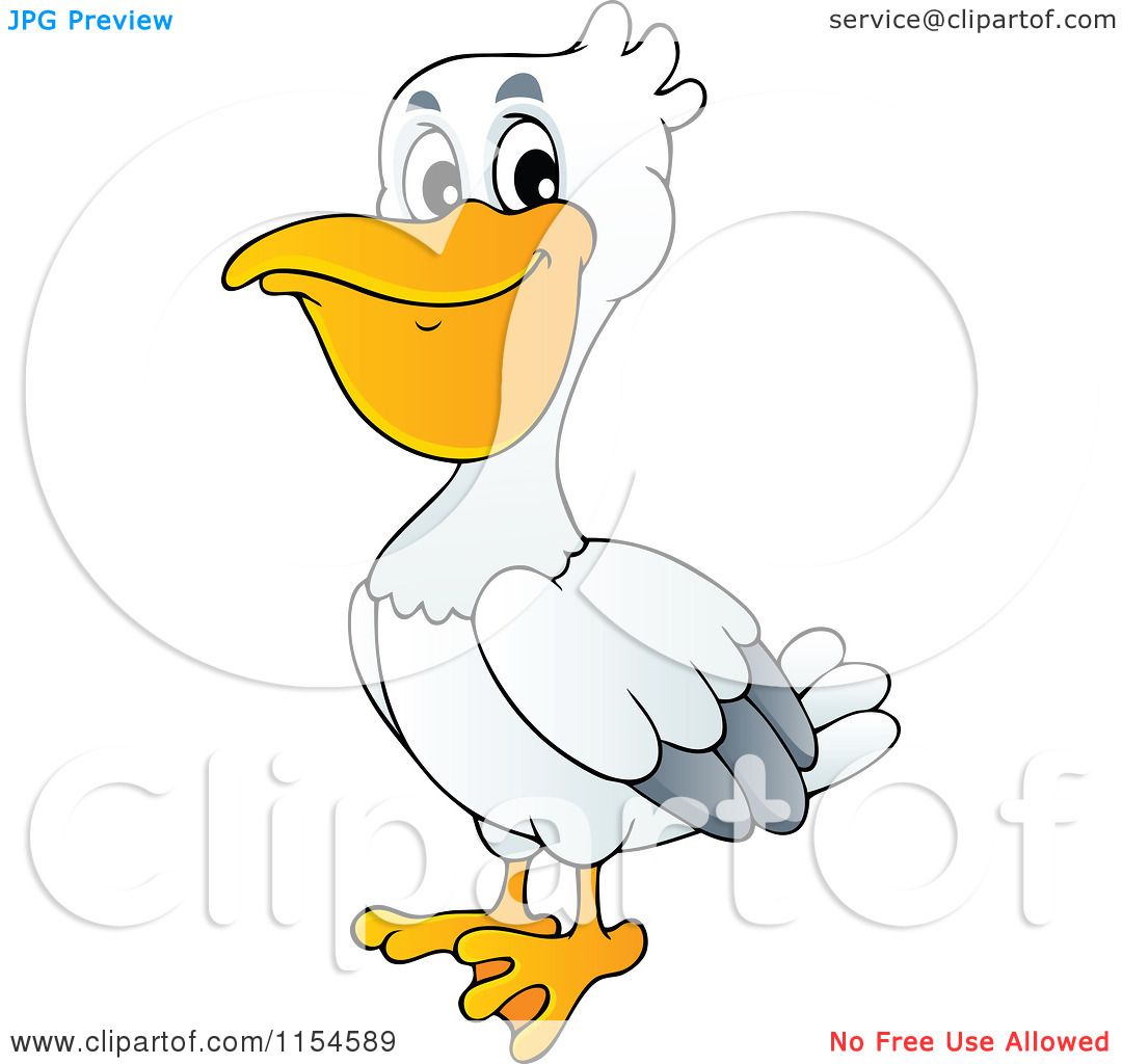 clipart cartoon pelicans - photo #34