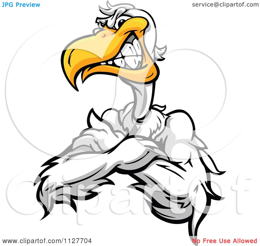 clipart cartoon pelicans - photo #43