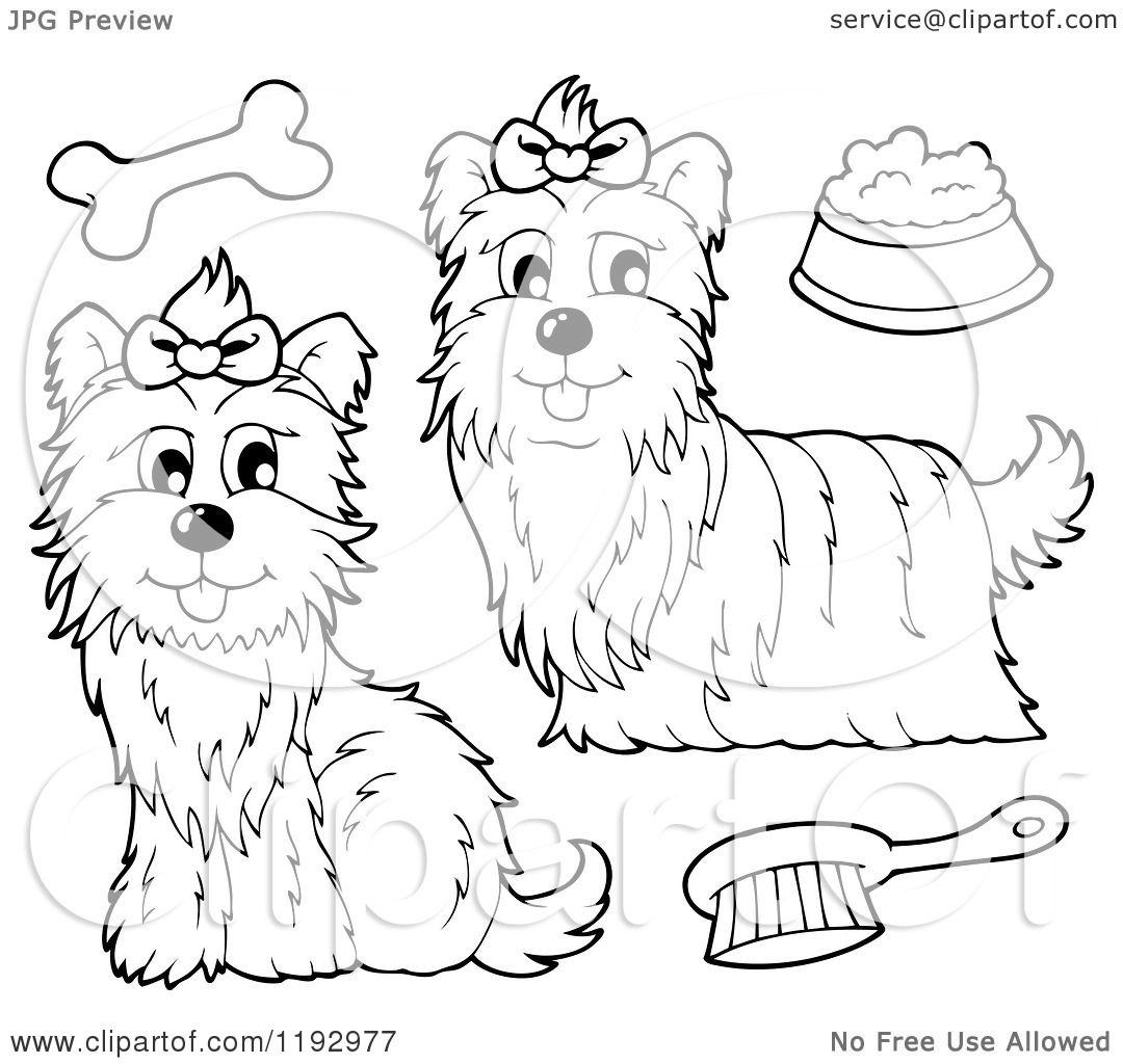Cartoon of Black and White Yorkie Dogs with a Brush Bone