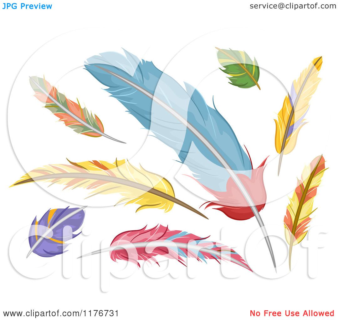 Cartoon of Colorful Feathers - Royalty Free Vector Clipart by BNP