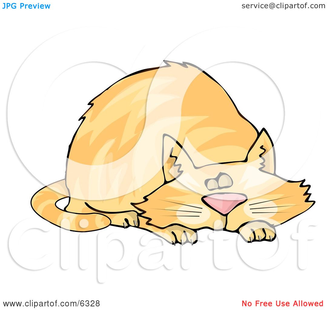 cat nap clipart - photo #10