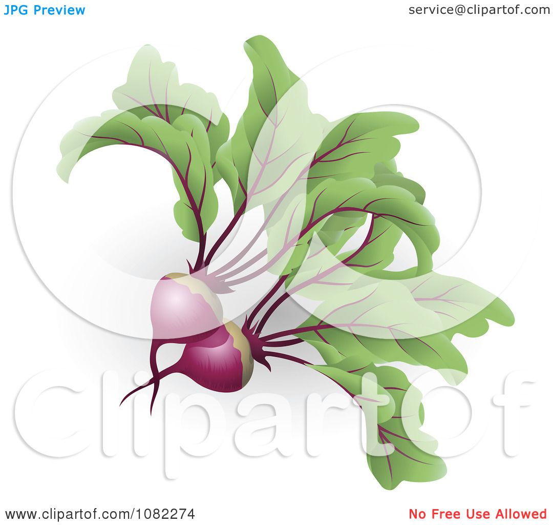 free clipart beets - photo #46