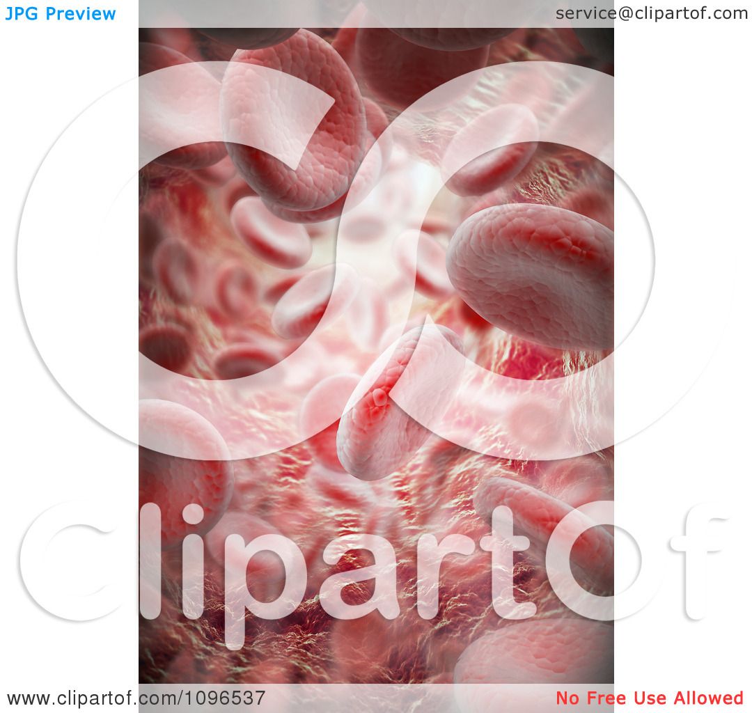 free clipart blood vessels - photo #45
