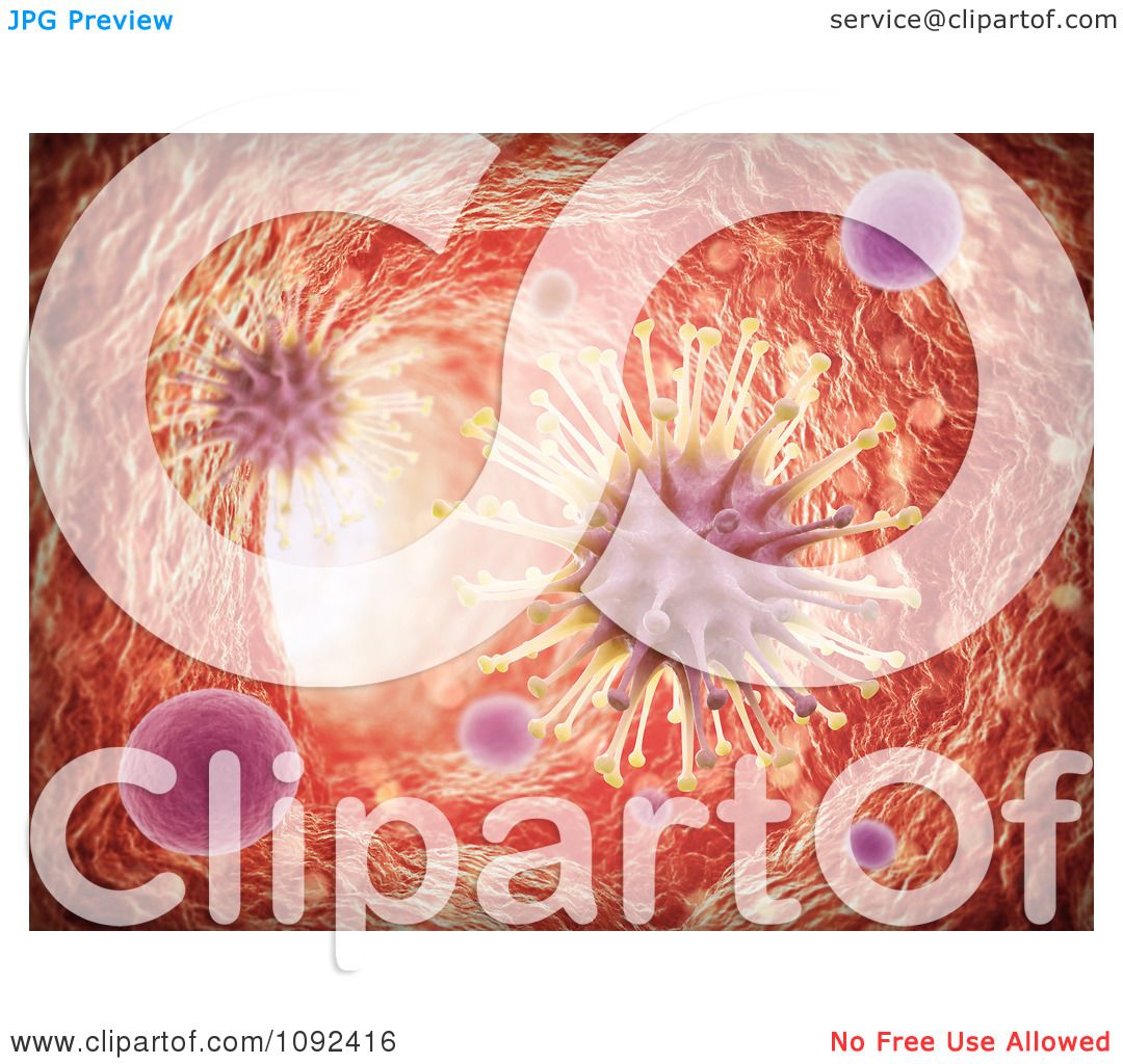 clipart of blood vessels - photo #41