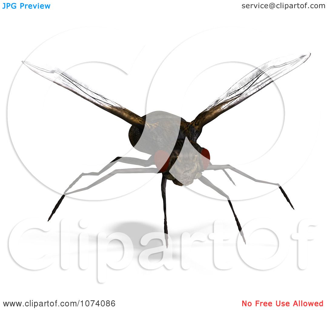 clipart of house fly - photo #49