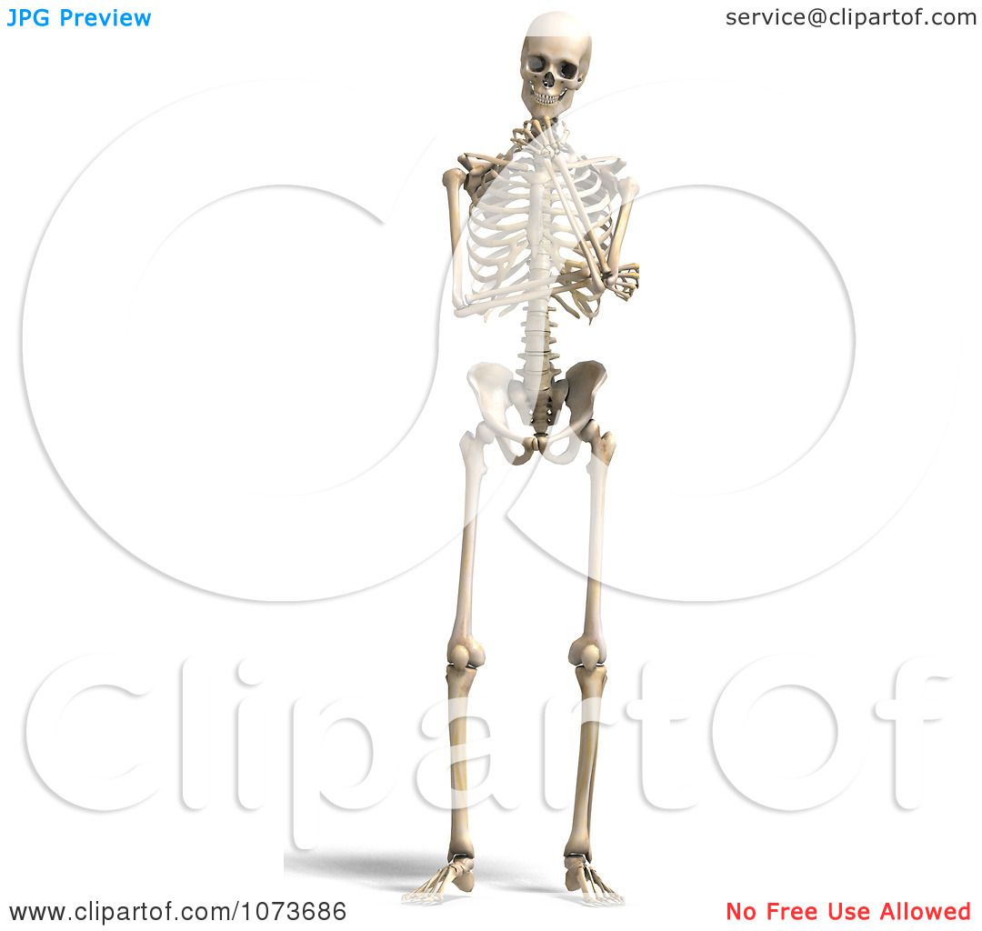 clip art human skeleton - photo #50