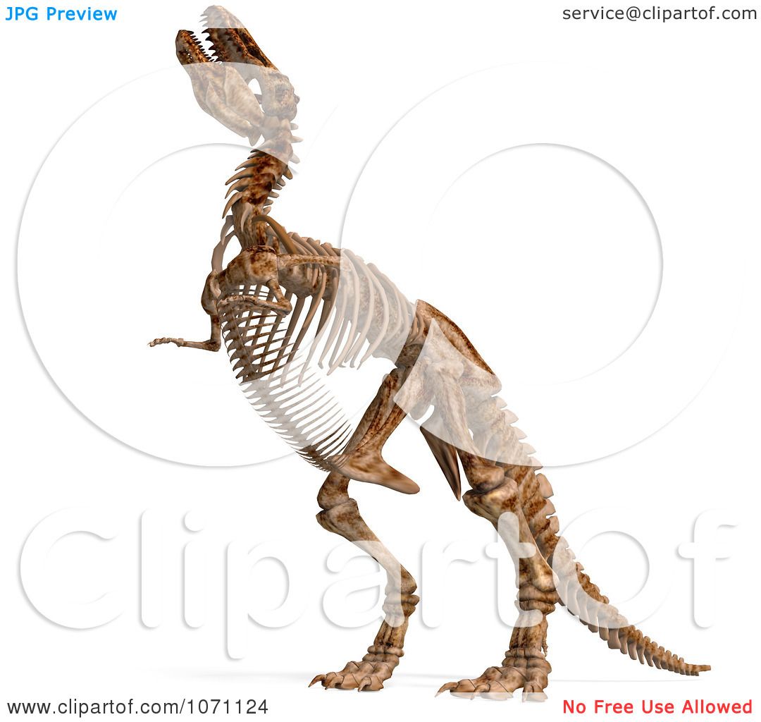 clipart dinosaur bones - photo #50