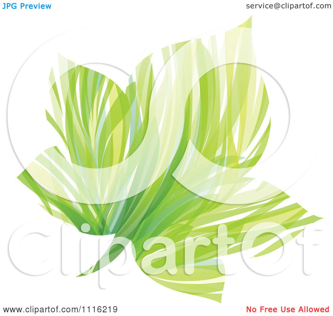 clipart green maple leaf - photo #48
