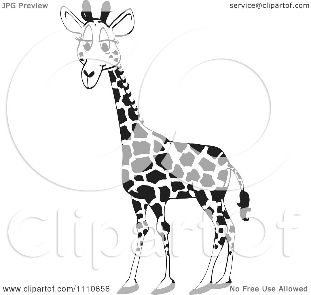 free black and white giraffe clipart - photo #34