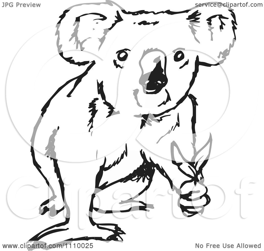 koala clipart black and white - photo #42