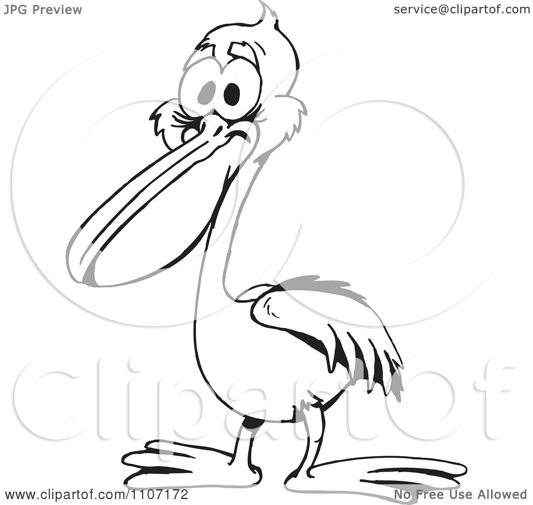 Clipart Black And White Pelican - Royalty Free Vector ...