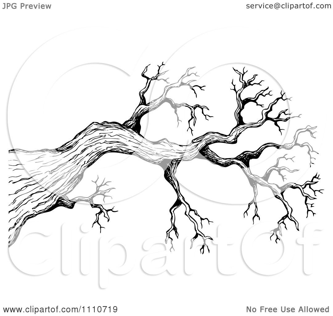 tree sketch clipart - photo #27