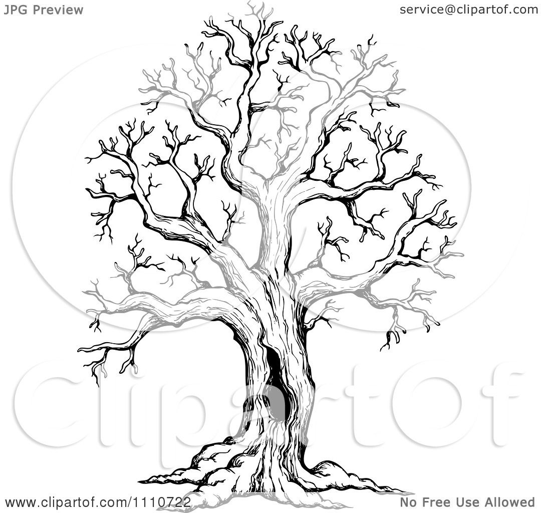 tree trunk clipart black and white - photo #48