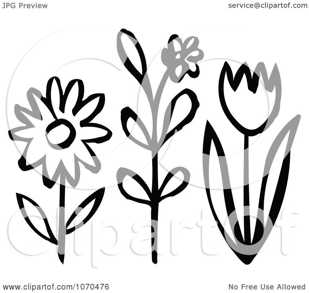 free spring flower black and white clipart - photo #32