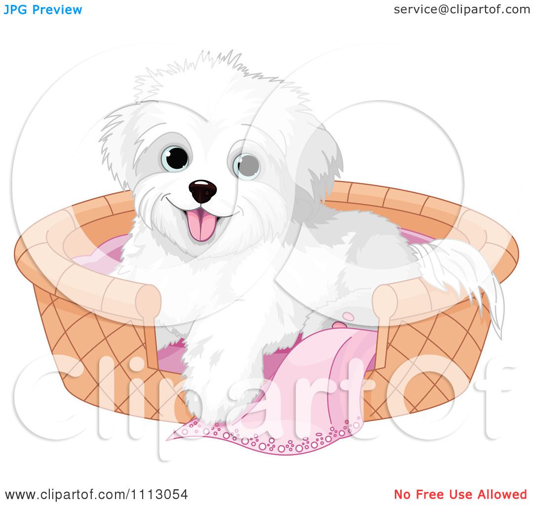free clipart maltese dog - photo #47