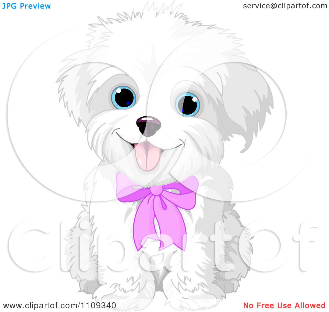 maltese dog clipart - photo #16