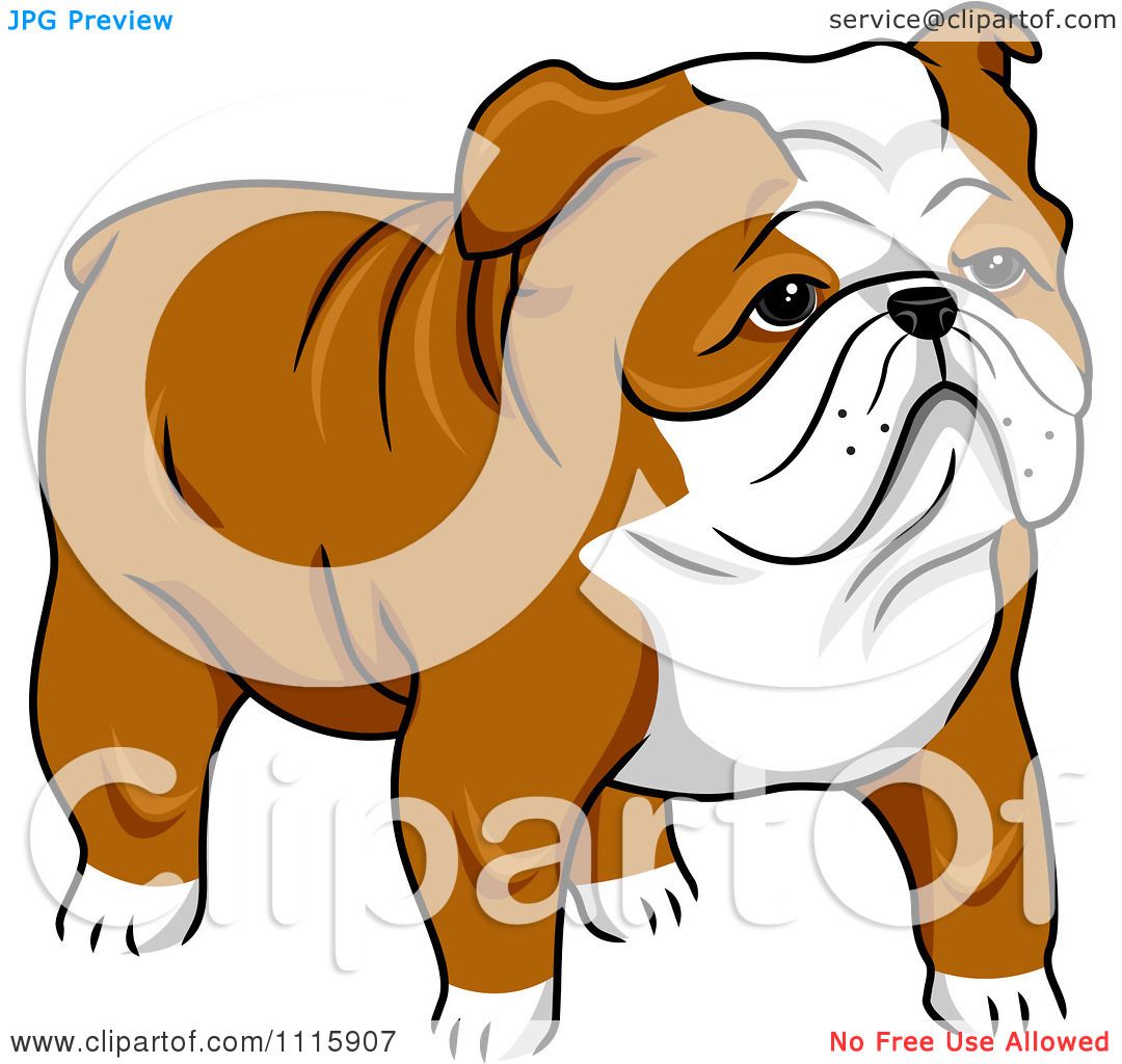 Clipart Cute English Bulldog - Royalty Free Vector Illustration by BNP