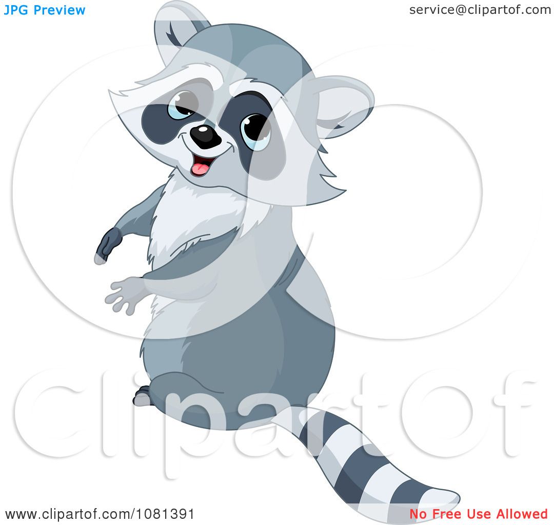 baby raccoon clipart - photo #42