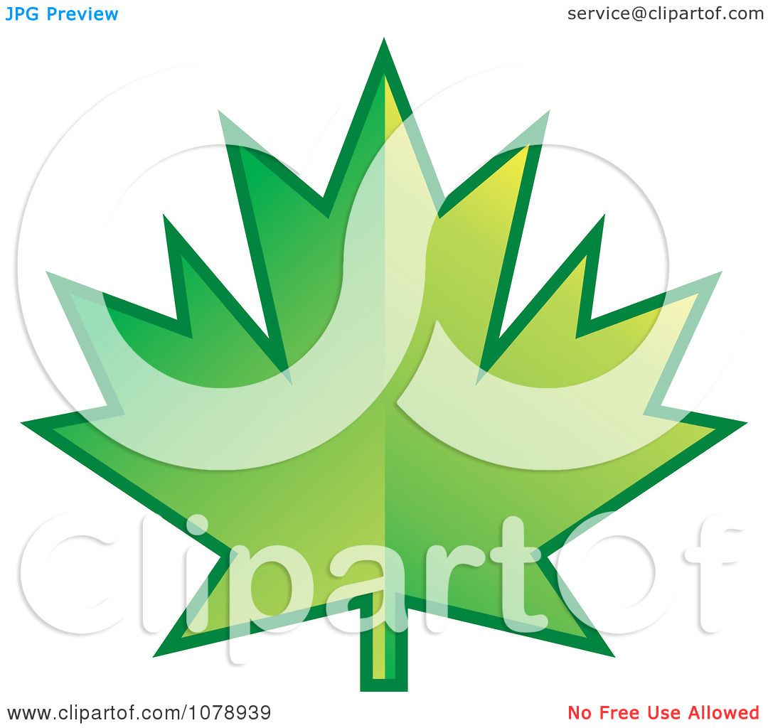 clipart green maple leaf - photo #37