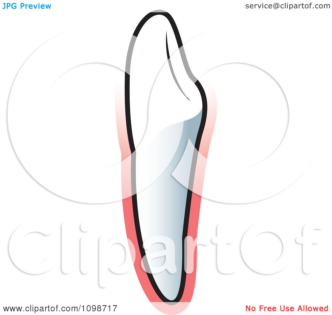 clip art canine tooth - photo #23