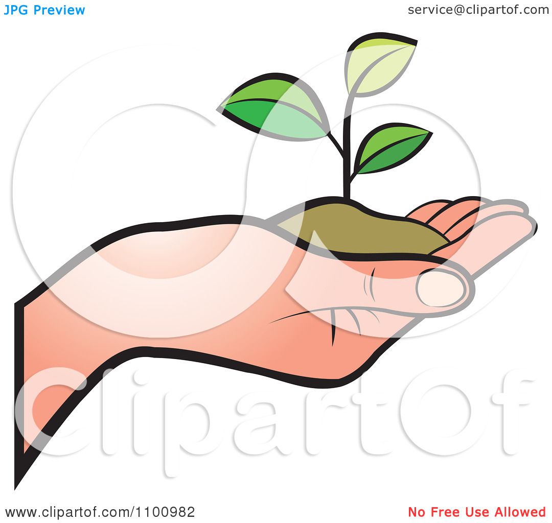 clipart hand holding flower - photo #2