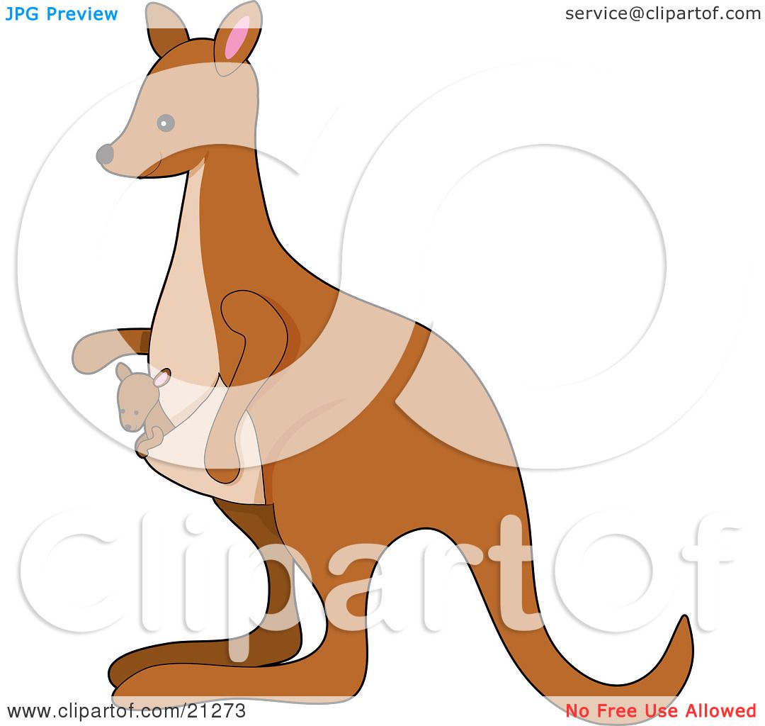 kangaroo pouch clipart - photo #41