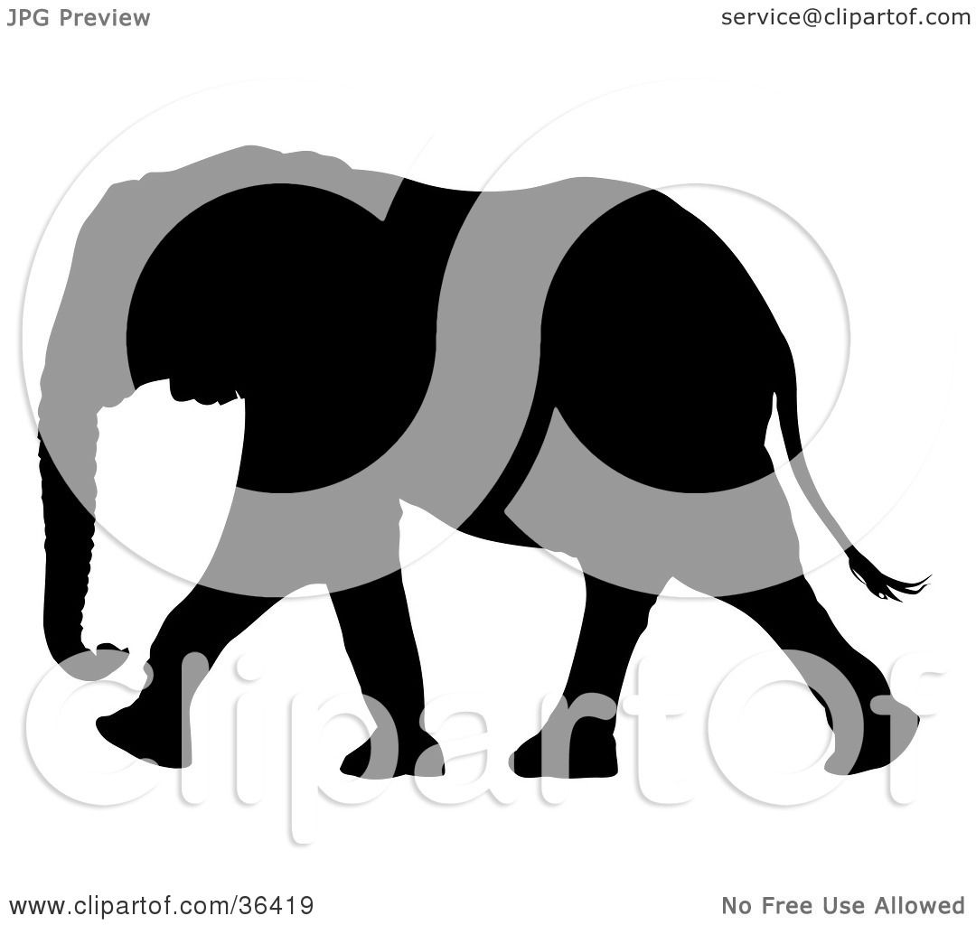 elephant profile clipart - photo #31