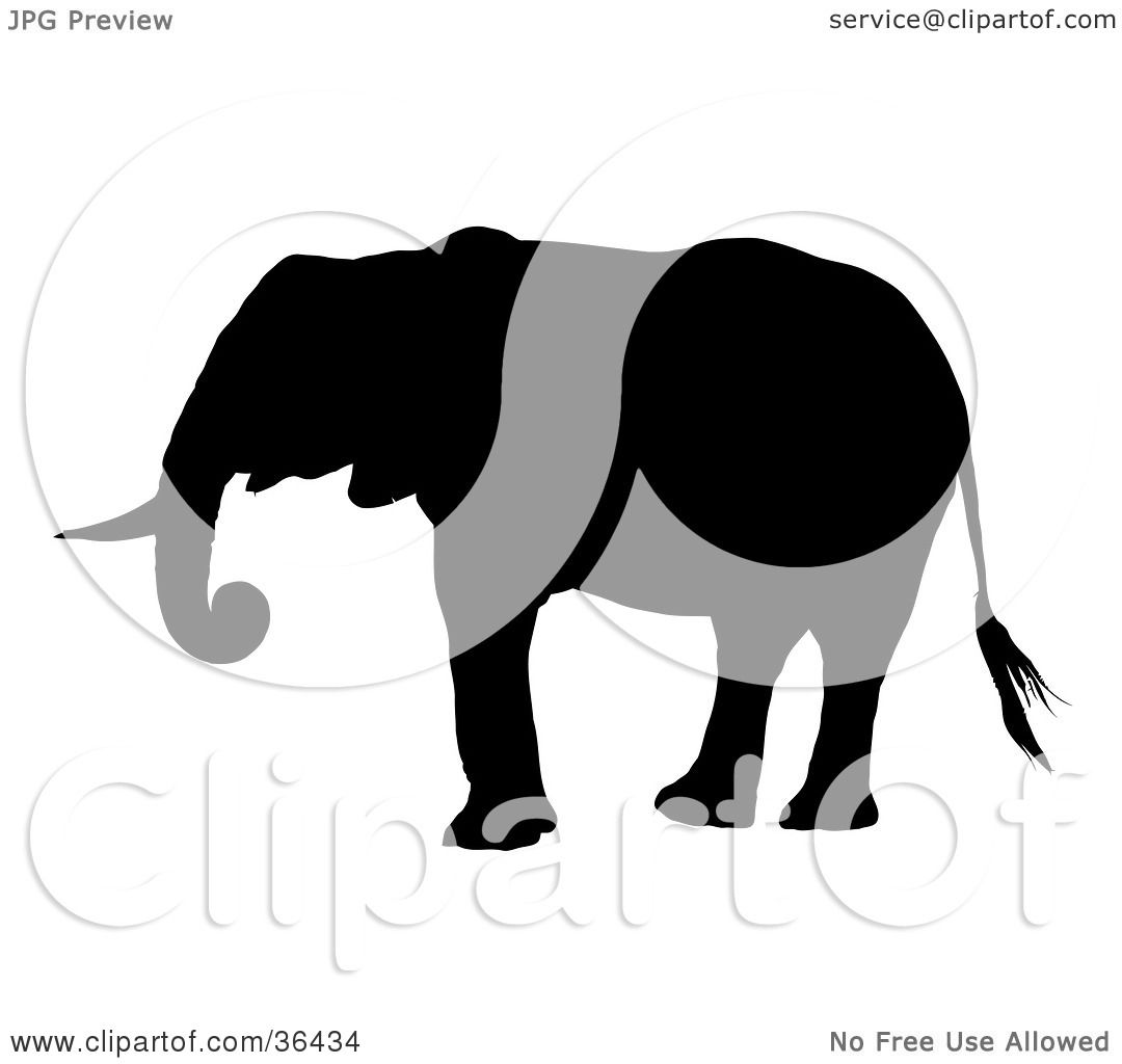 Clipart Illustration of a Black Silhouetted Adult Elephant ...