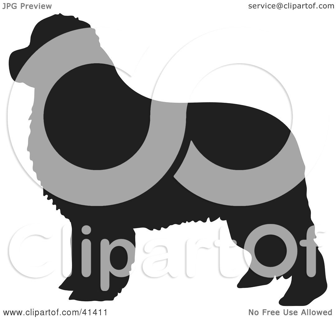newfoundland dog clip art free - photo #7