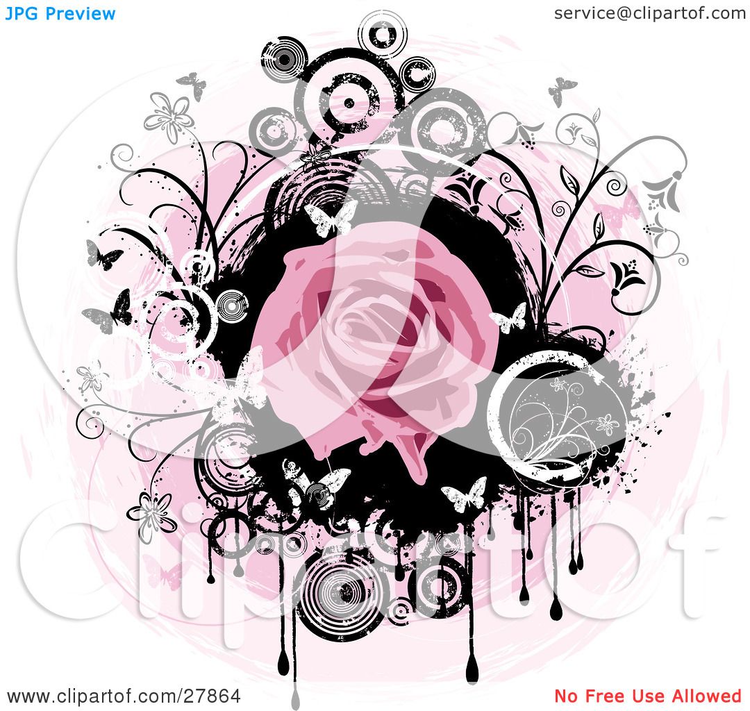 Black And White Pink Rose