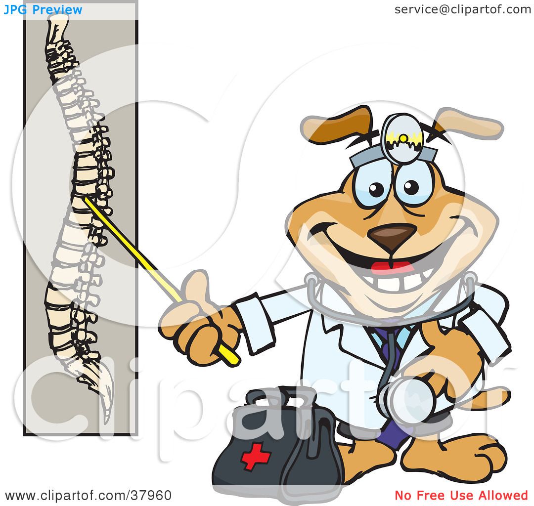 Rouse Hill Chiropractor