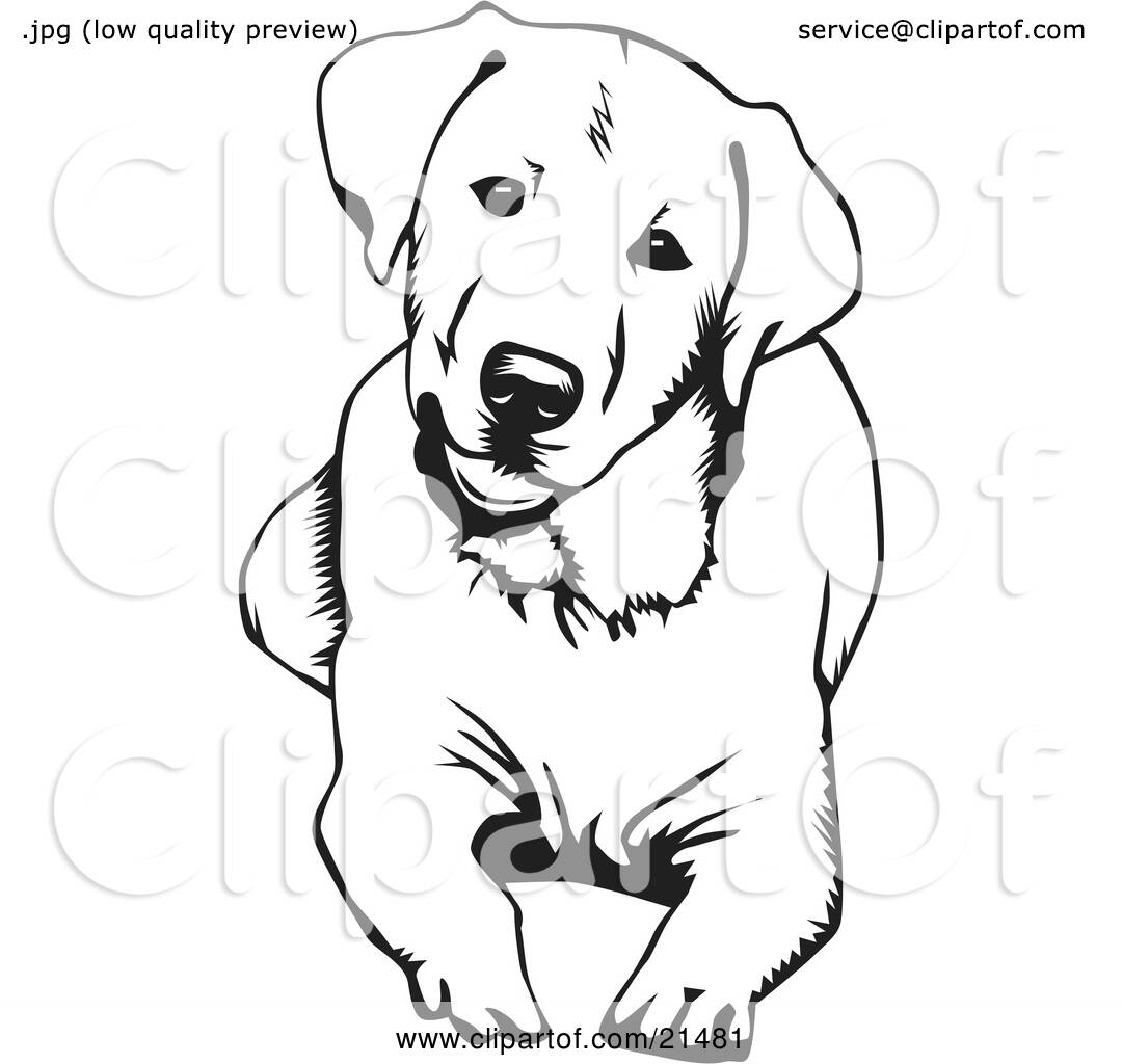lab puppies coloring pages - photo #23