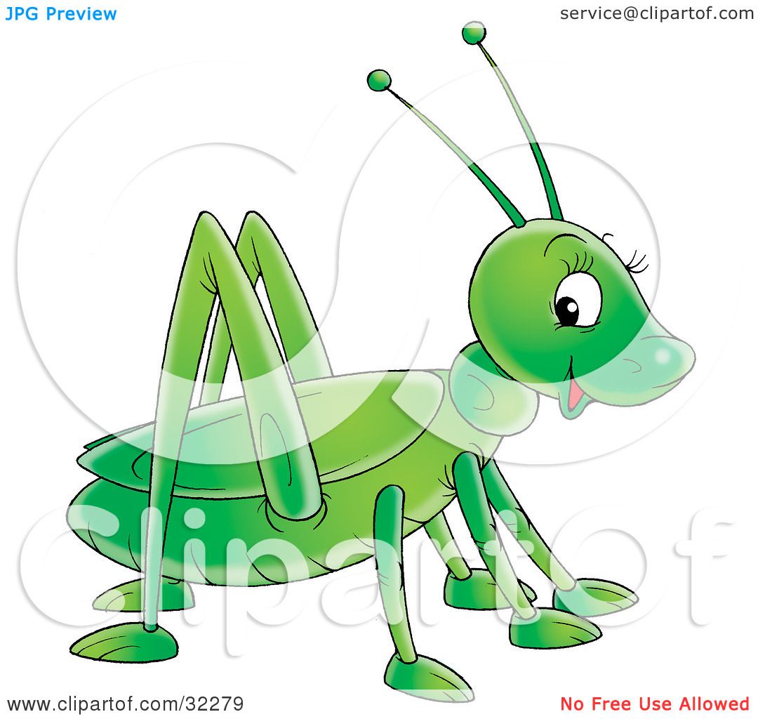 green grasshopper clipart - photo #49