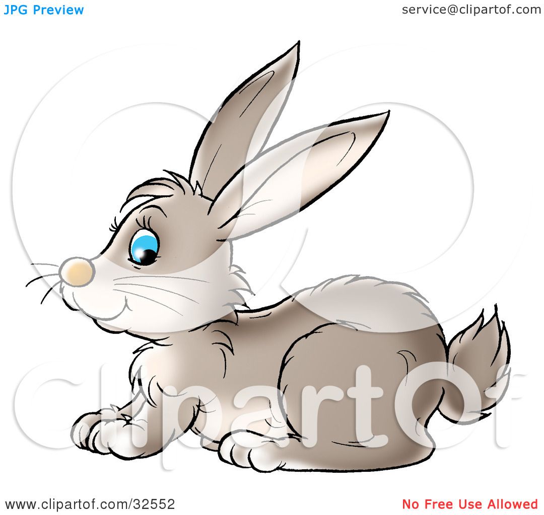 Clipart Illustration of a Cute Blue Eyed Gray Bunny Rabbit ...