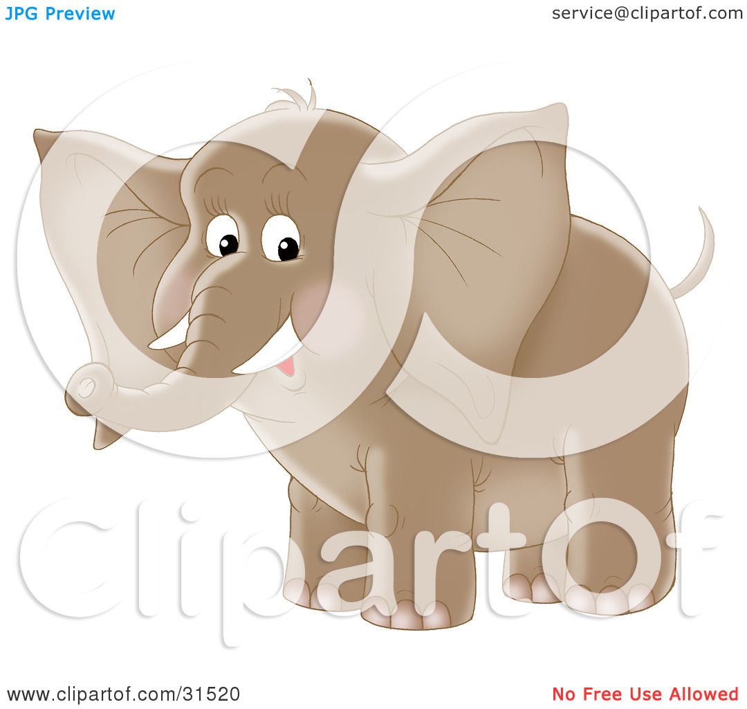 elephant tusk clipart - photo #44