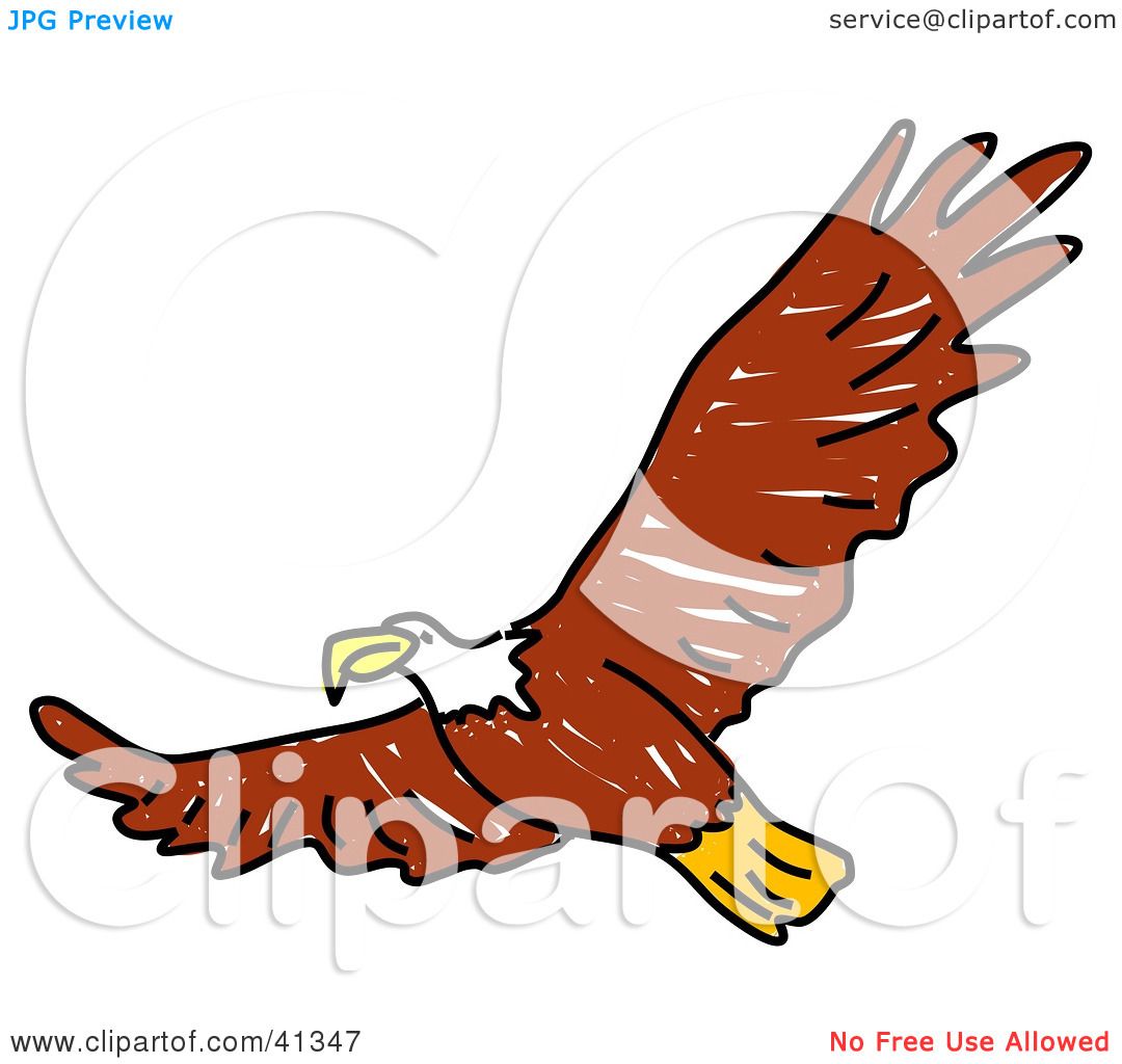 Cartoon Flying Eagle
