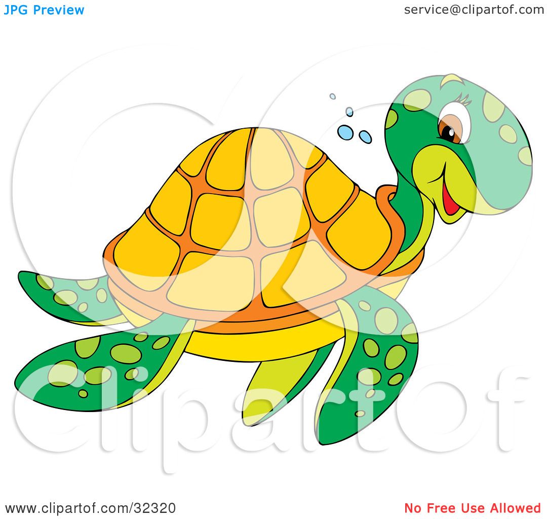 clipart baby sea turtles - photo #39