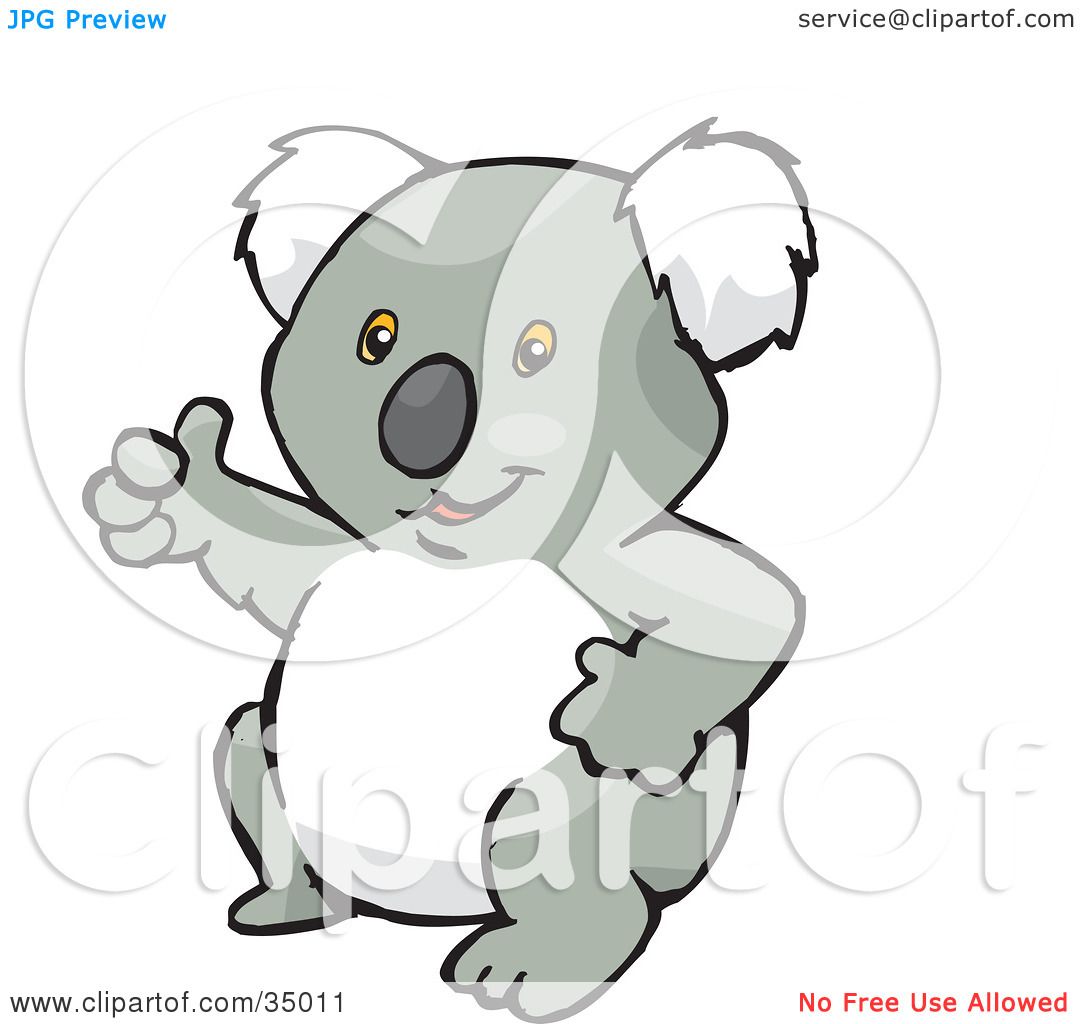 koala drawings clip art - photo #47