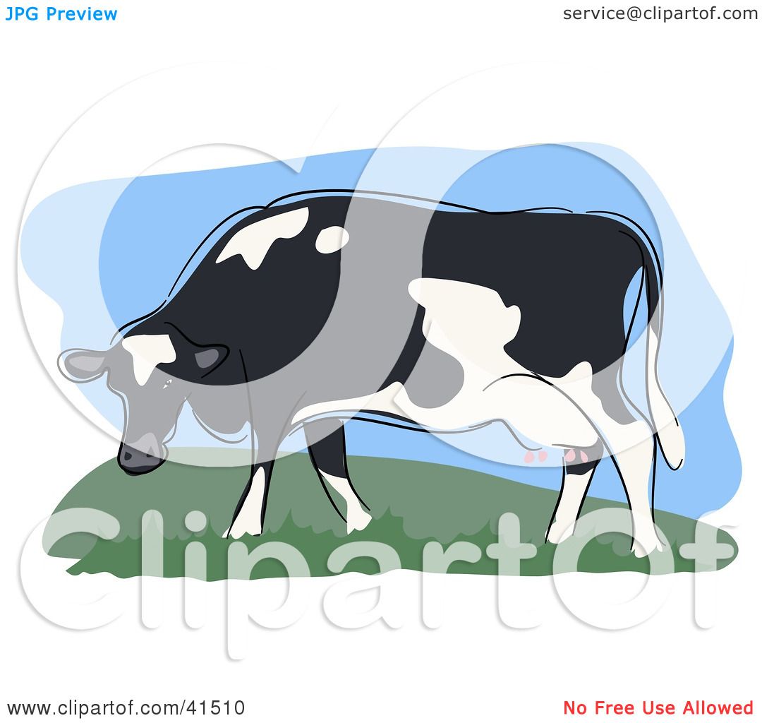 cow grazing clipart - photo #25