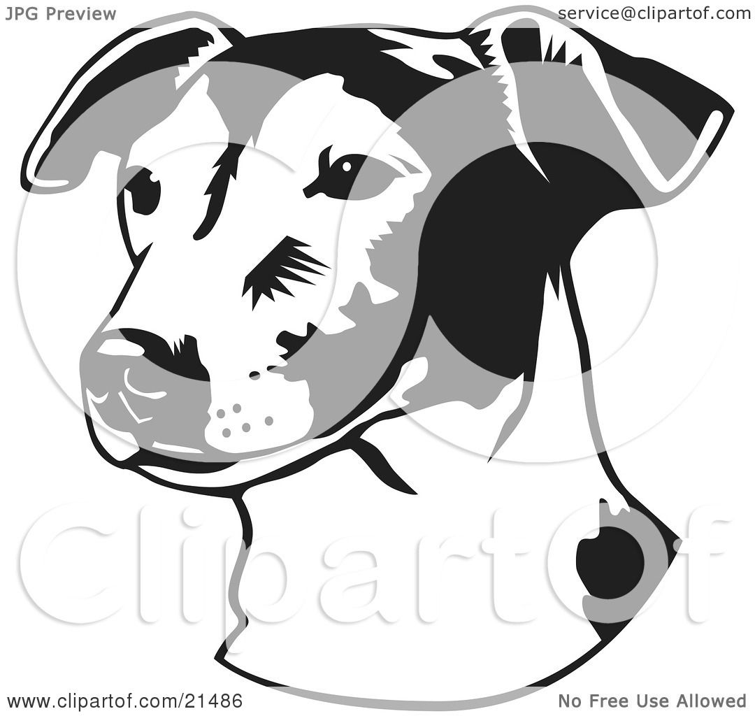 clip art jack russell dog - photo #19
